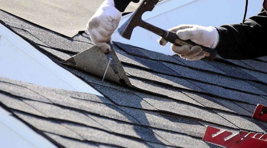 Local Siding Services in Blaine, WA